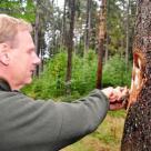 Interessengruppe Waldumbau statt Waldstilllegung: Friederike nur die halbe Wahrheit